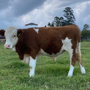 04B14D48-9686-4120-AC3B-C809AB11AD0C