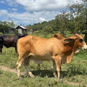 05e41884-c84a-4fb9-8958-70555442dcb8