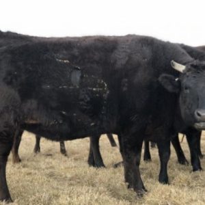 06F94126-3CF4-44D5-8763-7156F7EC1C48