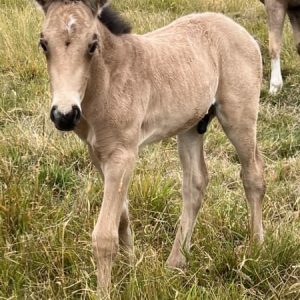 0e081256-d948-4463-ad0c-12700f83c36c