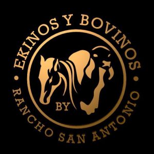 13346904_10153775641648282_7022700299088812201_n