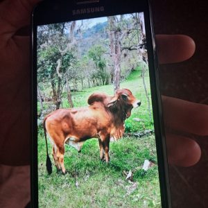 16054723935954812065367877473366