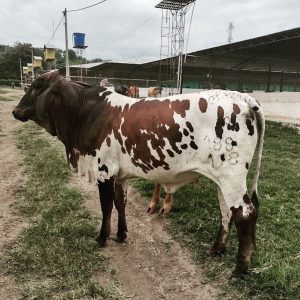 184698796_463408181629907_1342261488772568980_n-1