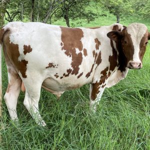 19F15DB1-394F-4DF1-98D2-EE769DA89EF1