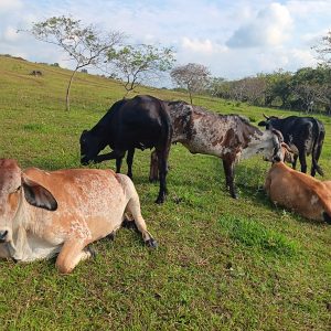 1abd6441-2ed1-4138-b13f-d1a82edc0c4f-1