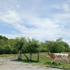 1d1a1482-42d9-493f-b802-fd27241dd9b4