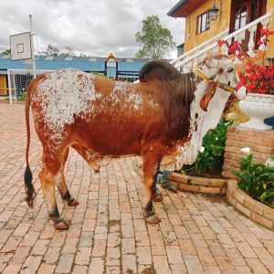 1d40235b-3c67-45de-957b-43d364a0e9f9