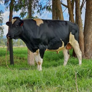 20201129_142244_resized