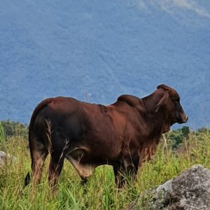 20210209_181403_resized