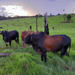 20231113_170519_resized-1