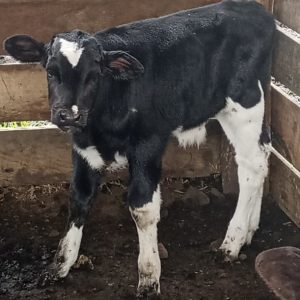 22a97527-0c07-4676-8ae8-80e57992cd18