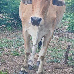 2309b3a2-17ab-4120-922a-7ef6357c86ce-1