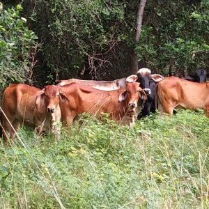 24ac6b2a-3c11-4e4f-969d-a6ffc4e506c0-1