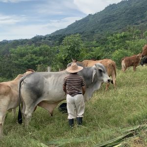 2732DE73-7D78-4D7D-B287-B91A9C630D3B