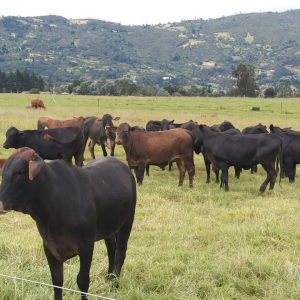 2b298a97-7745-43bf-97d5-5333fc72bb46-3