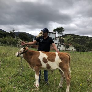 383E40A2-2EC6-49DE-8D70-BA1BF298D2CB