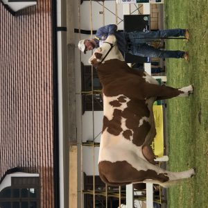 3DB94BE3-CF10-47FD-B288-3BB089534CB6