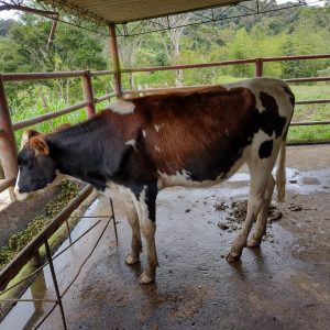 401b2320-c02f-45fb-b54d-717910529ec5....