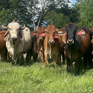 42D14449-B18B-46F3-9A1F-053FD27B4300