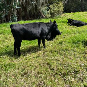 4add7f79-d592-4729-8e94-861238d72d83