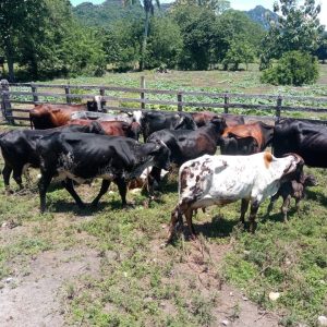 4fc37827-8a2f-4a84-977e-405fe297b703