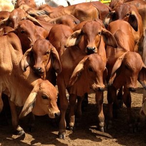 56ACA40A-E494-43EE-9C7B-DDDCBB8B4FEF