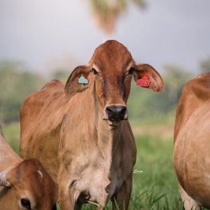 59A46FC9-029D-4CC9-A694-94CD029AFE12-2