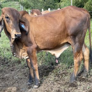 5A1A8E5F-17C4-4435-A00D-5A84DC008D15