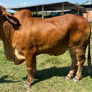 5eaad459-7bfb-472c-901e-5a7ec5304b08