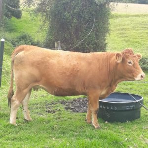 6028954C-41C4-4039-B936-825094993B20