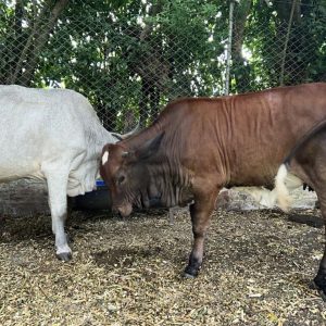 60520684-85bf-4c40-a9bf-4774cc899b5a