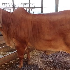 6f54cf87-f4cb-457d-a590-777ddd58ca87