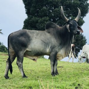 7E051425-C736-47E9-92D6-0E0870A9CDD9_1_201_a