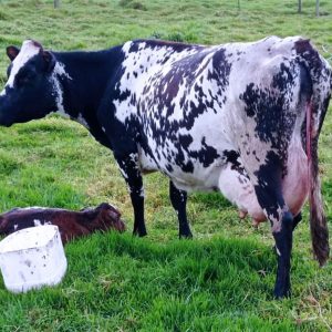 7FEB19C6-273C-4037-B81E-6362EB6F39BF