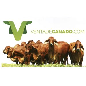 8ABC6FFD-1C63-4B18-B101-E45CCB0B57B1