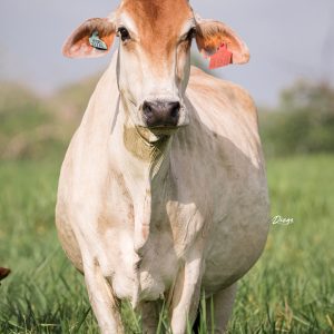 8E33499E-52DB-4656-8269-CD6CFD372748-3