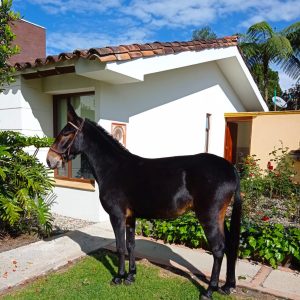 92b6e0d7-28f1-4144-86cc-f28b54577f22