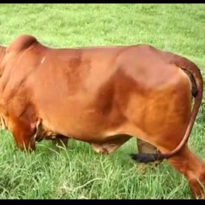 92e7ca56-897b-47bf-8640-083f8592519e-1