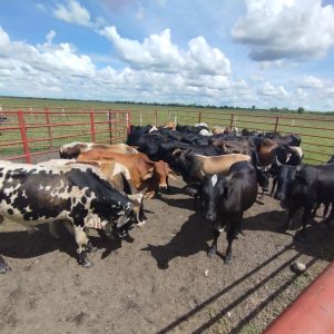 94943cbe-3fd4-4d71-be2d-f602c39e6521