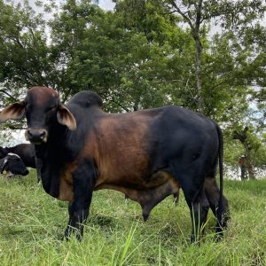 956B0058-EC3D-42A9-BC40-36EE113E2ED4