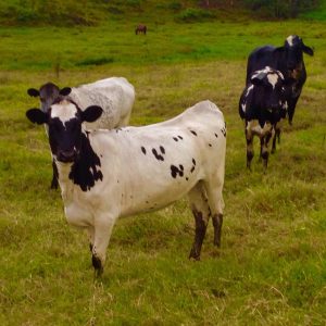 9CD1CE54-B865-459B-B7A8-4EA315064C22