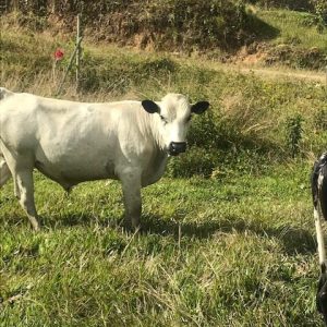 9F0B914C-1FF8-4244-AC27-BDB2A105F207