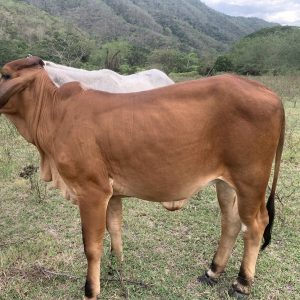 A393A796-C5F8-4331-9AA2-AC177F549141