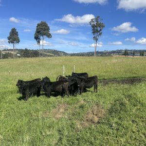 B3940D52-96FC-470E-8C69-EE797C83CC25