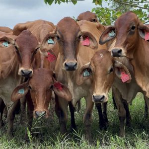 BB402DC9-5BCB-4BE5-B754-1366CB5B51AF