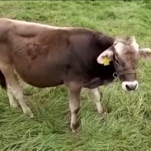 BFBC0021-FF4D-4A4E-8C57-D983F9192FC9