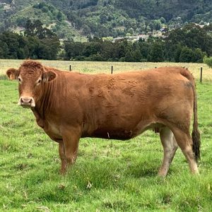 C09F478C-0A62-48C3-B332-E13FE3F7951A