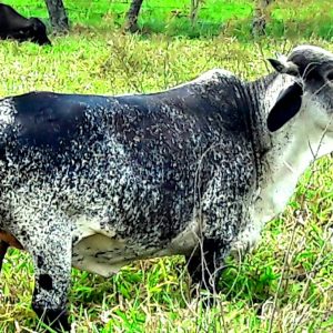 CYMERA_20251201_144156