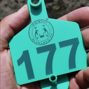 CYMERA_20260109_103058