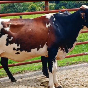 CYMERA_20260119_171245-1